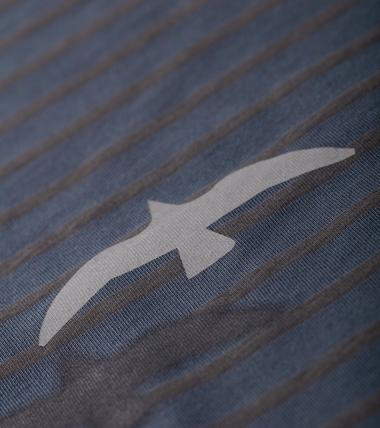 Bayan Antrasit Migration