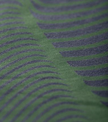 Bayan Antrasit Topography