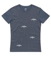 Bayan Antrasit Migration