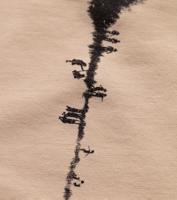 Bayan Bej Reflection 