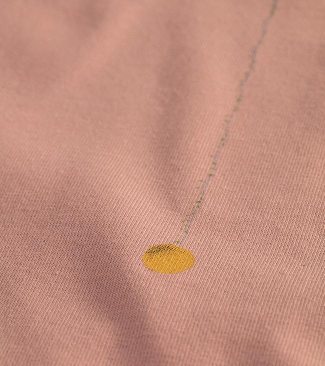 Bayan GülKurusu Minerva