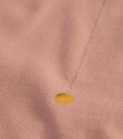 Bayan GülKurusu Minerva