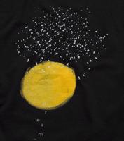 Bayan Siyah Dreams on Wings 2	