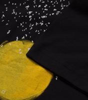 Bayan Siyah Dreams on Wings 2	