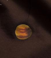 Bayan koyu_kahve Galaxy