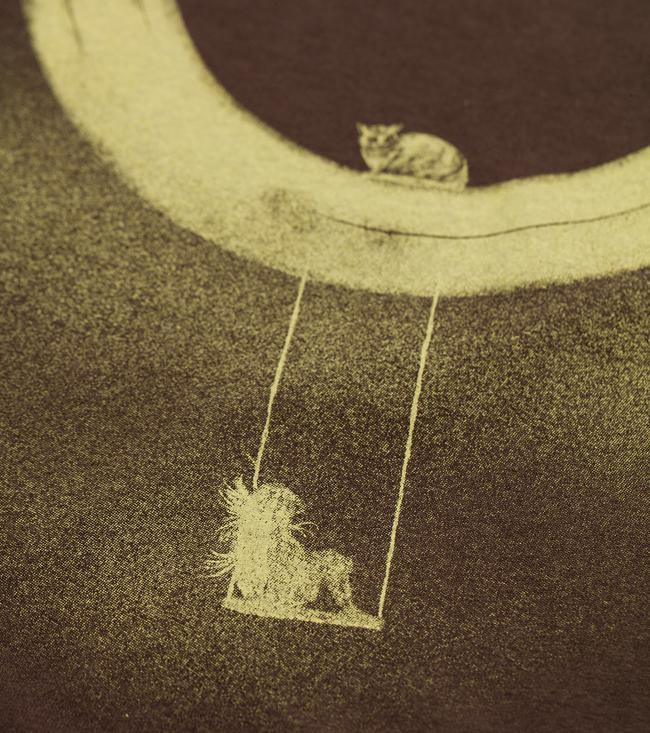 Bayan koyu_kahve Wonder