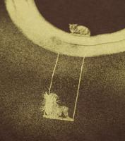 Bayan koyu_kahve Wonder