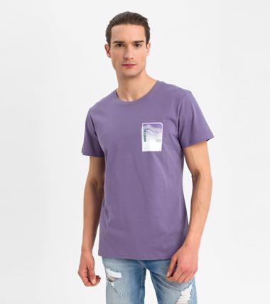 Bayan Mor Harekete Geç